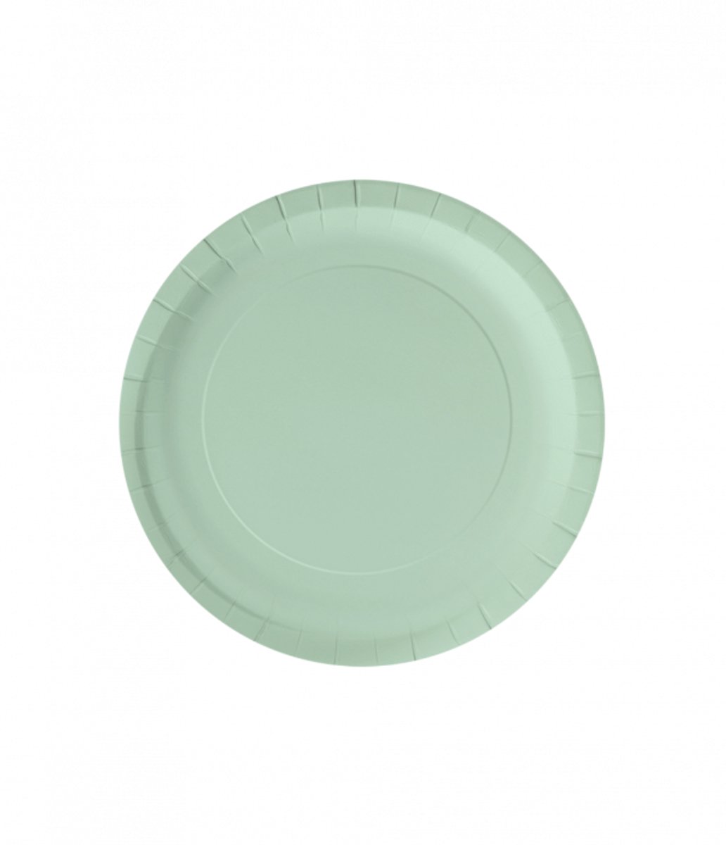 Wegwerpbordjes Pastel Groen 23cm - 8st - Feestjecreatief