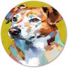 Hond, Pop Art, Geel, blauw, oranje, wit, rood