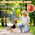 Oranje interactieve bal met blauw licht, in de hand van een vrouw die buiten met een beagle speelt.