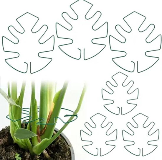 Set van vijf groene metalen plantensteunen in monstera-bladvorm, drie grotere en twee kleinere.