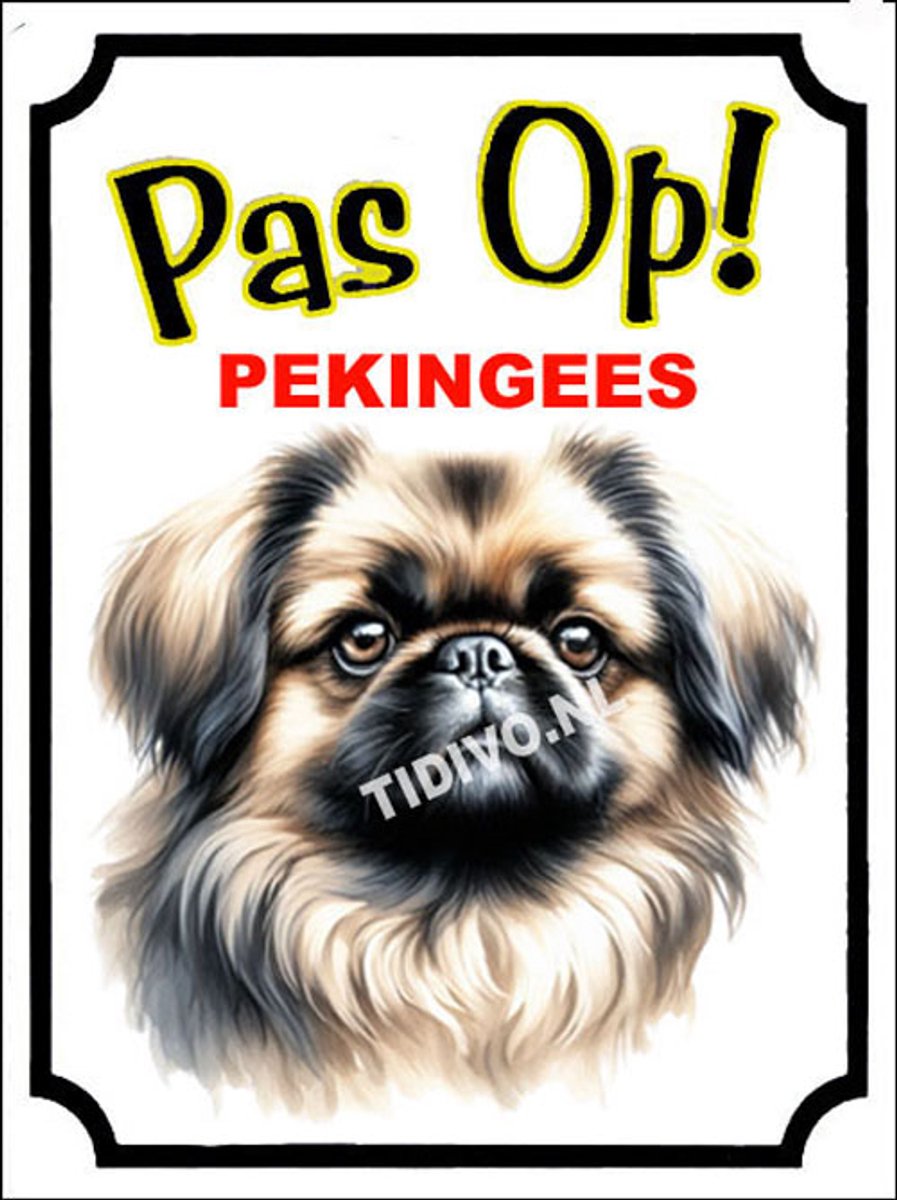 Pekingees 16
