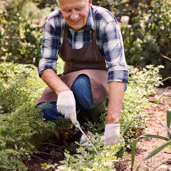 Onkruidsteker van roestvrij staal - 3 stuks - onkruidverwijderaar - apparaat met houten handvat - handmatige wieden - losmaken - handmatige wieder - leeuwentandtrekker - grasmaaier voor de tuin - tuingereedschap van Merkloos	 — afbeelding 2