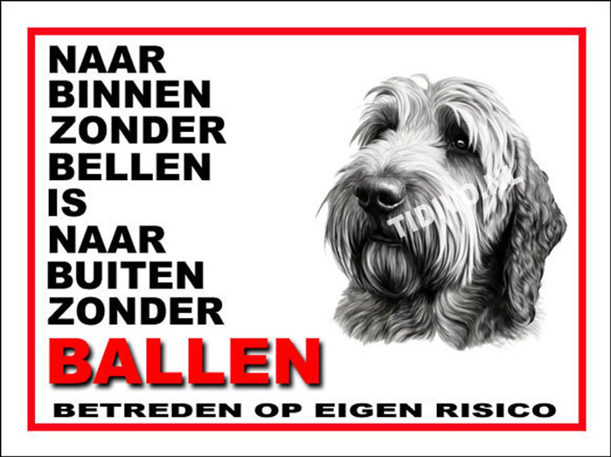 Otterhound 11