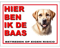 Labrador Retriever 2