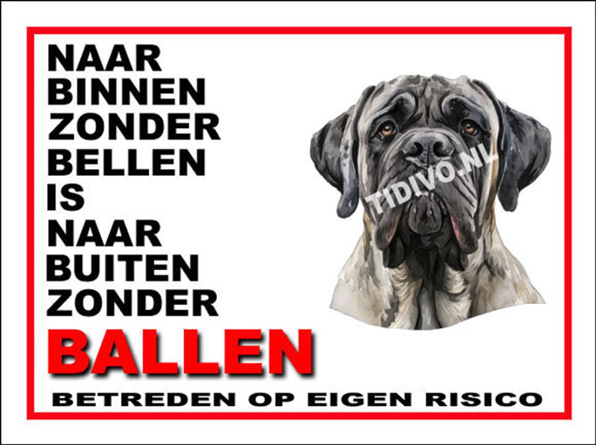 Mastiff 11