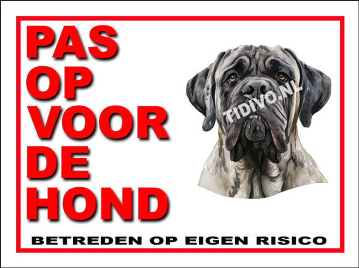 Mastiff 13