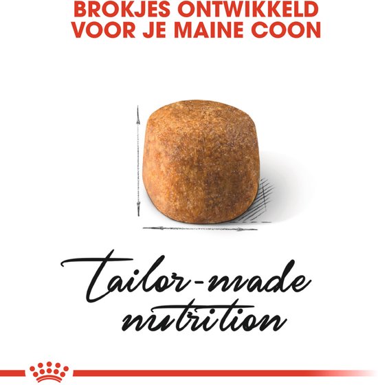 Close-up van een enkele, speciaal gevormde brok Royal Canin Maine Coon kattenvoer.