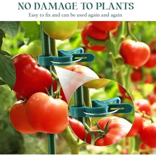 Plantenclip kopen? Plantenklemmen, ringen & bevestigingsclips