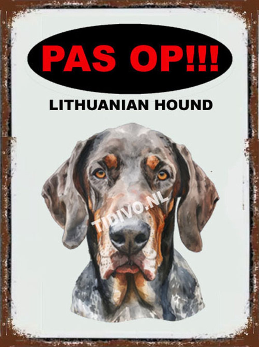 Lithuanian Hound 17