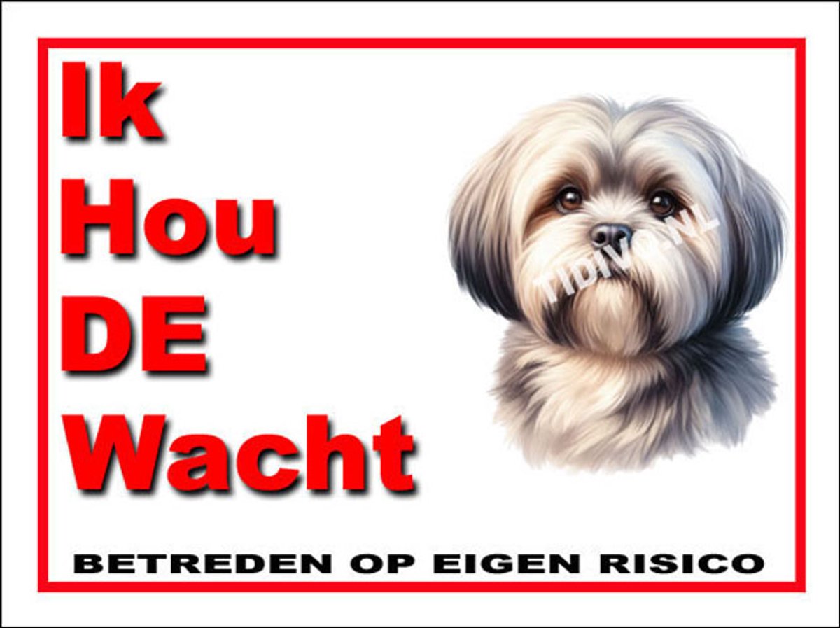 Lhasa Apso 7