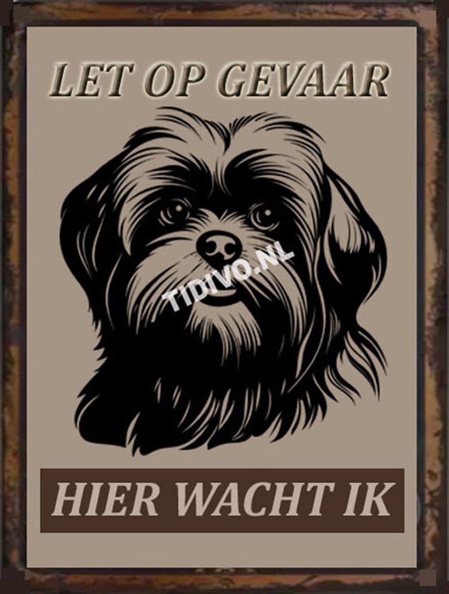 Lhasa Apso 18