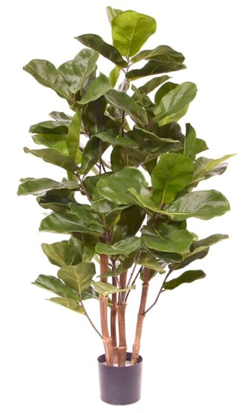 Plante artificielle Ficus 120 cm | Ficus Lyrata Plante artificielle | Faux Ficus avec tronc en bois | Plante artificielle Ficus