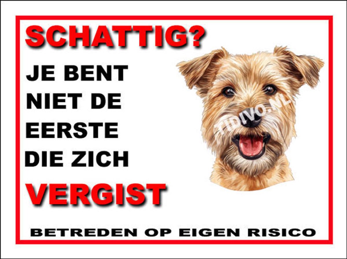 Lucas Terrier 14