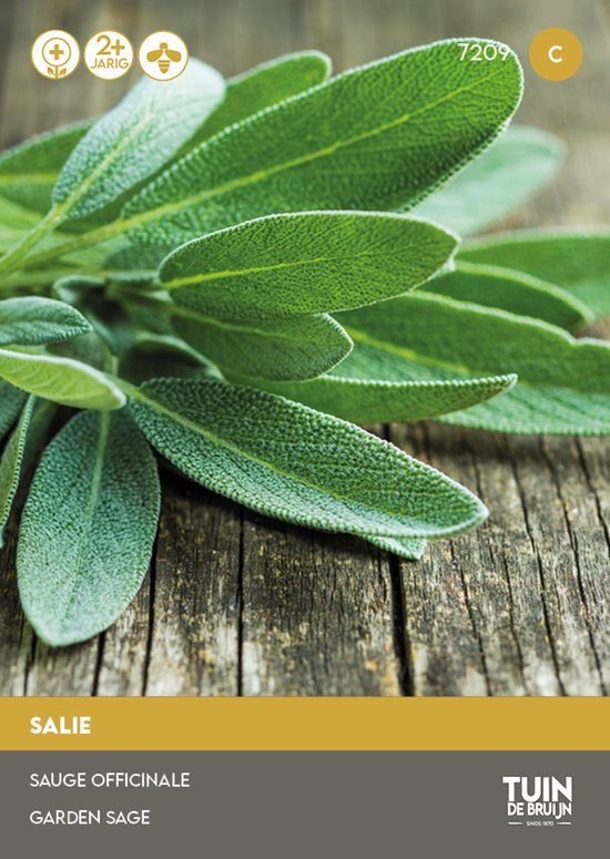 Tuin de Bruijn® zaden – Salie