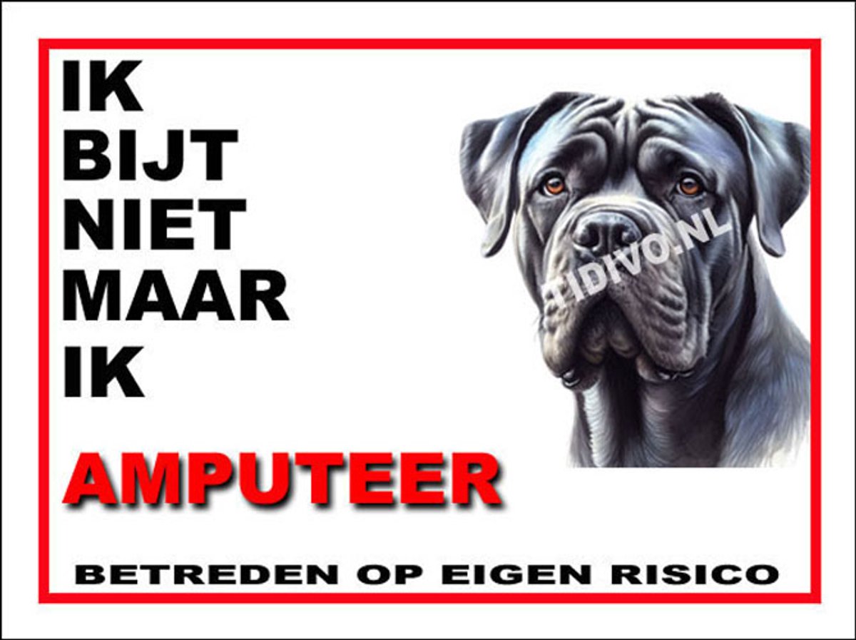Cane Corso 5