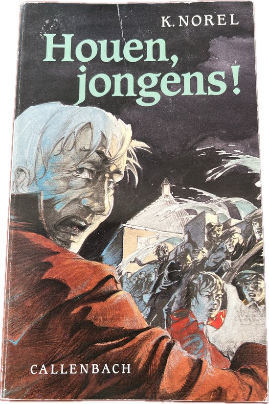 Omslag van Houen jongens door K. Norel