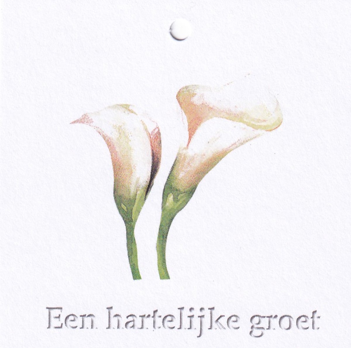 Bloemenkaartjes - 25 Stuks - Mini Kaartjes - 7 x 7 cm - Bloemist - Kadootjes - Een hartelijke groet - JK-152