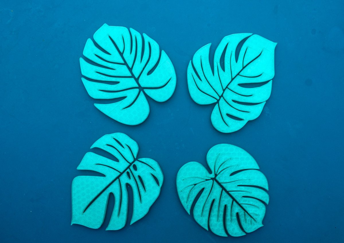 Groene Monstera Blad Onderzetters – Set van 4 - Design coasters - Moderne onderzetterset