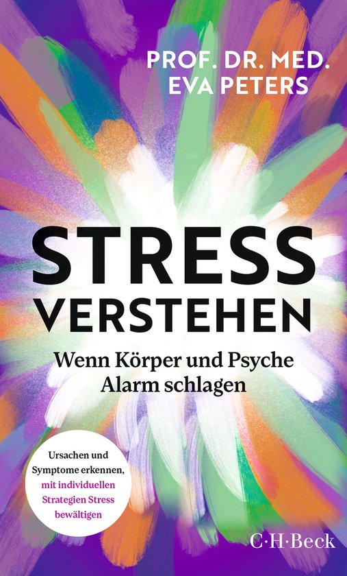 Beck Paperback 6598 - Stress verstehen - cover