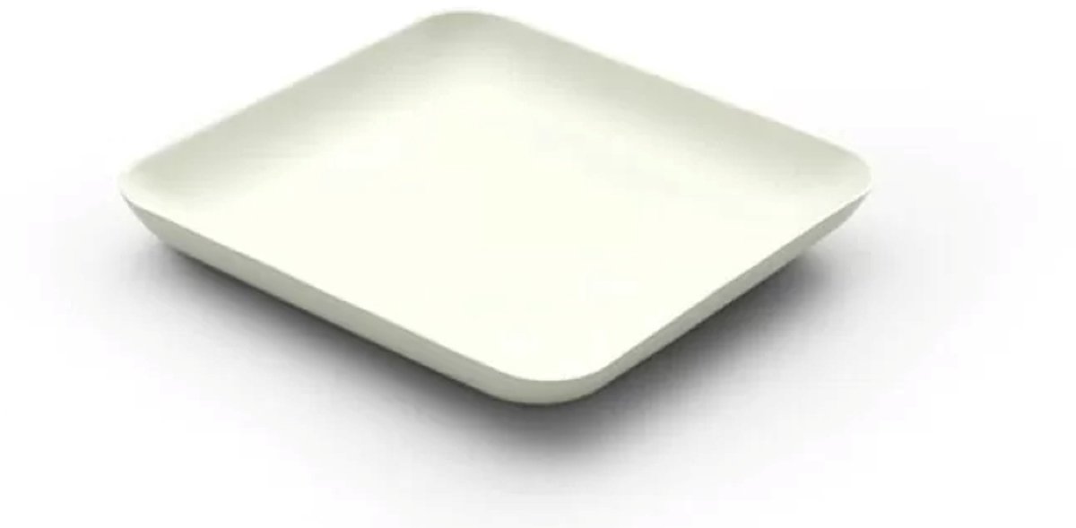 Wegwerpbord vierkant 12 cm Bagastro - 40 stuks