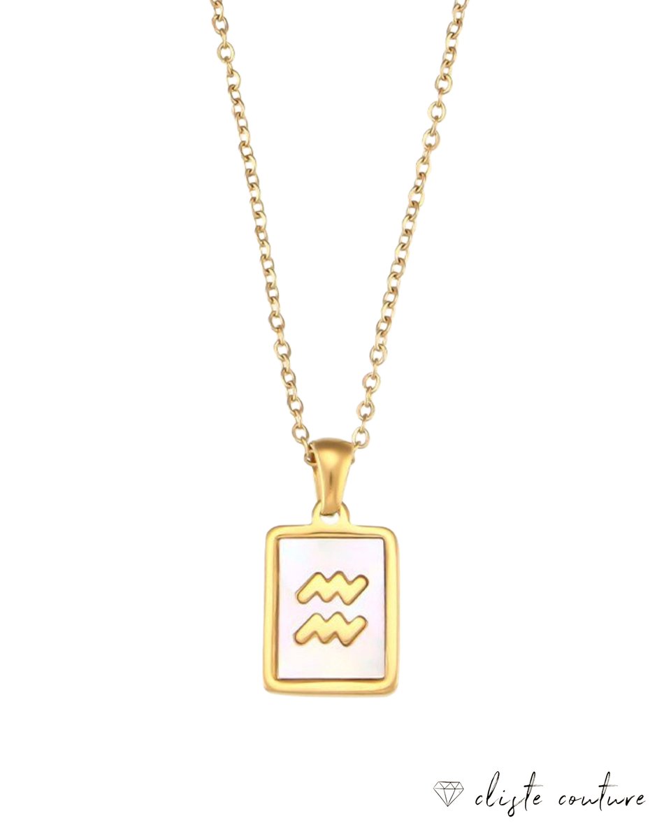 Cliste Couture - Stars Sterrenbeeld Ketting met Schelp Waterman / Aquarius - Stainless Steel met Goud Verguld - 45cm Ketting met Zodiac Hanger - Inclusief Cadeau Verpakking