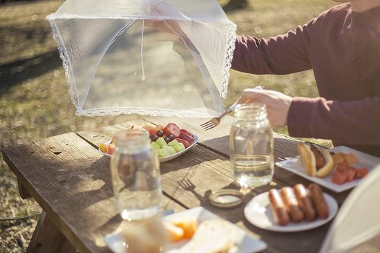 1 Stuk Mesh Outdoor Food Cover Tent - Opvouwbare paraplu tent - Ideaal voor picknicks, barbecues, kamperen en koken in de buitenlucht - Pop-up schermnet en bordbeschermer - Vliegenkap - Bescherm voedselborden en glazen tegen vliegen en insecten — afbeelding 2