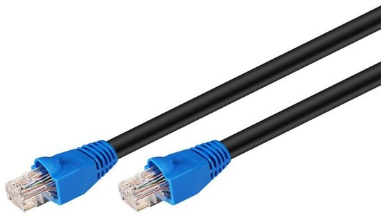 Deux câbles réseau noirs avec connecteurs RJ45 bleus, sur fond blanc.