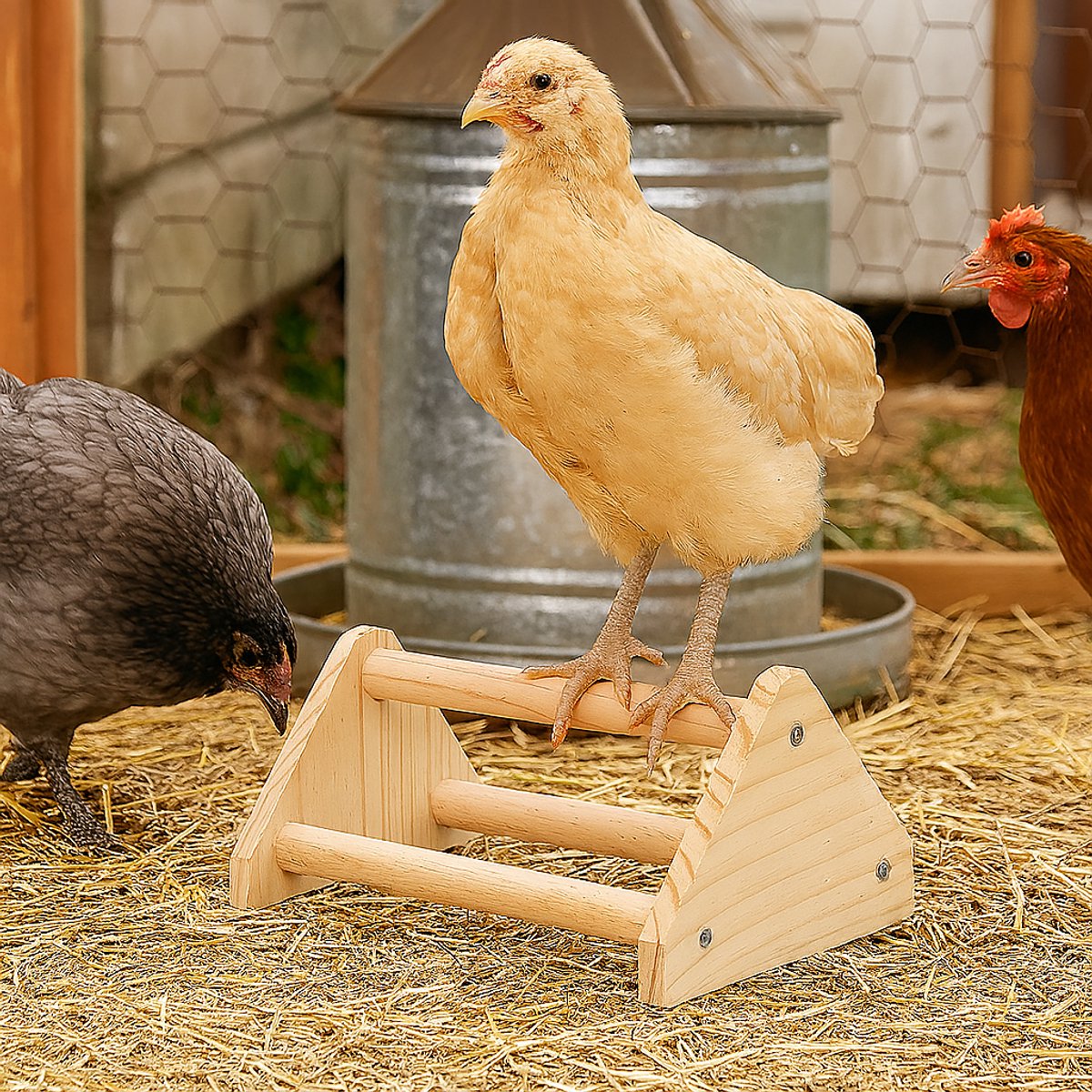 HEYOUTH Kippenhok speelset, houten staanstang voor kip, speelplaats voor kippen, met schommel en zitstang, vogeltrainingsstang, zitstang voor kippen, kalkoen, lovebirds