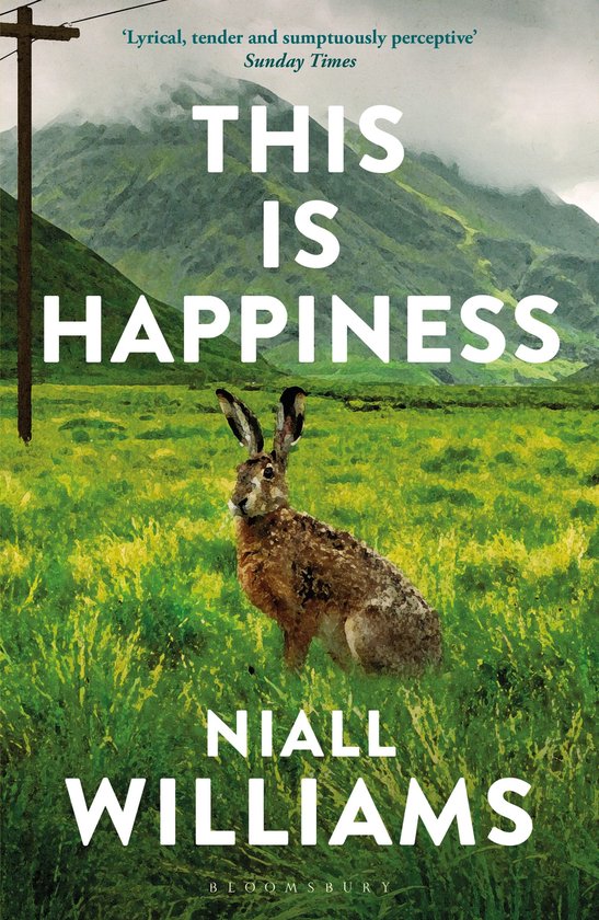 This Is Happiness