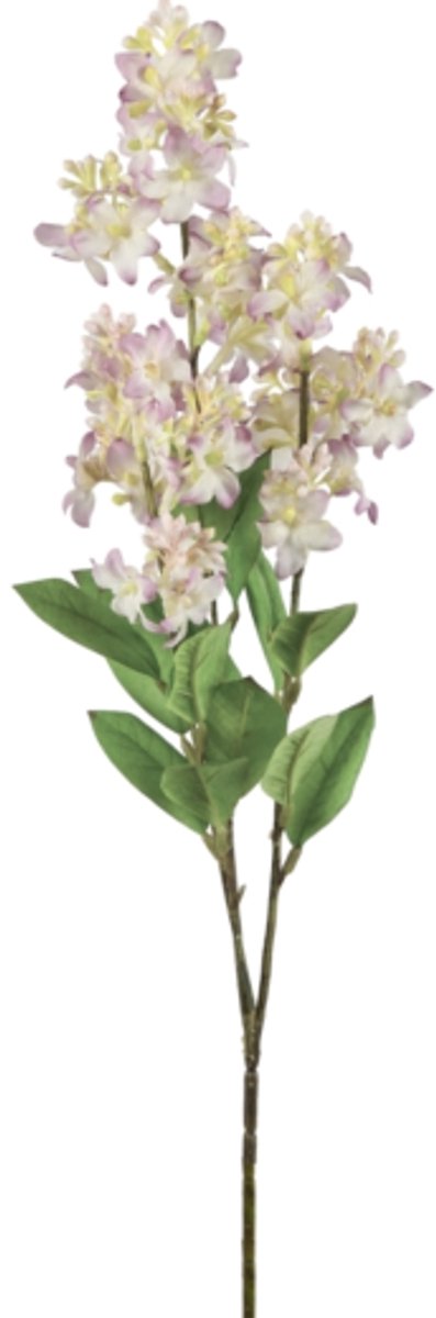4 stuks Kunstbloem Ligustrum paars 64 cm