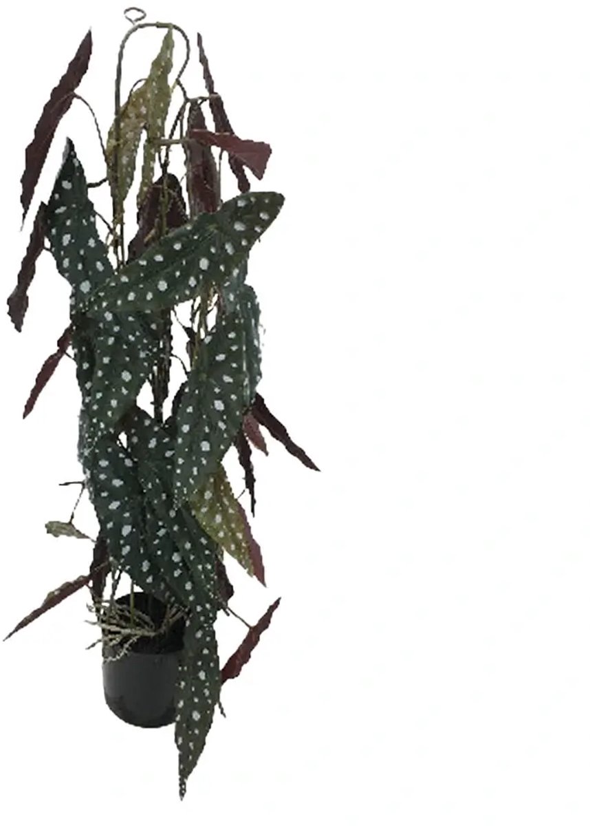 Kunstplant Elephant's Ear - 77 cm