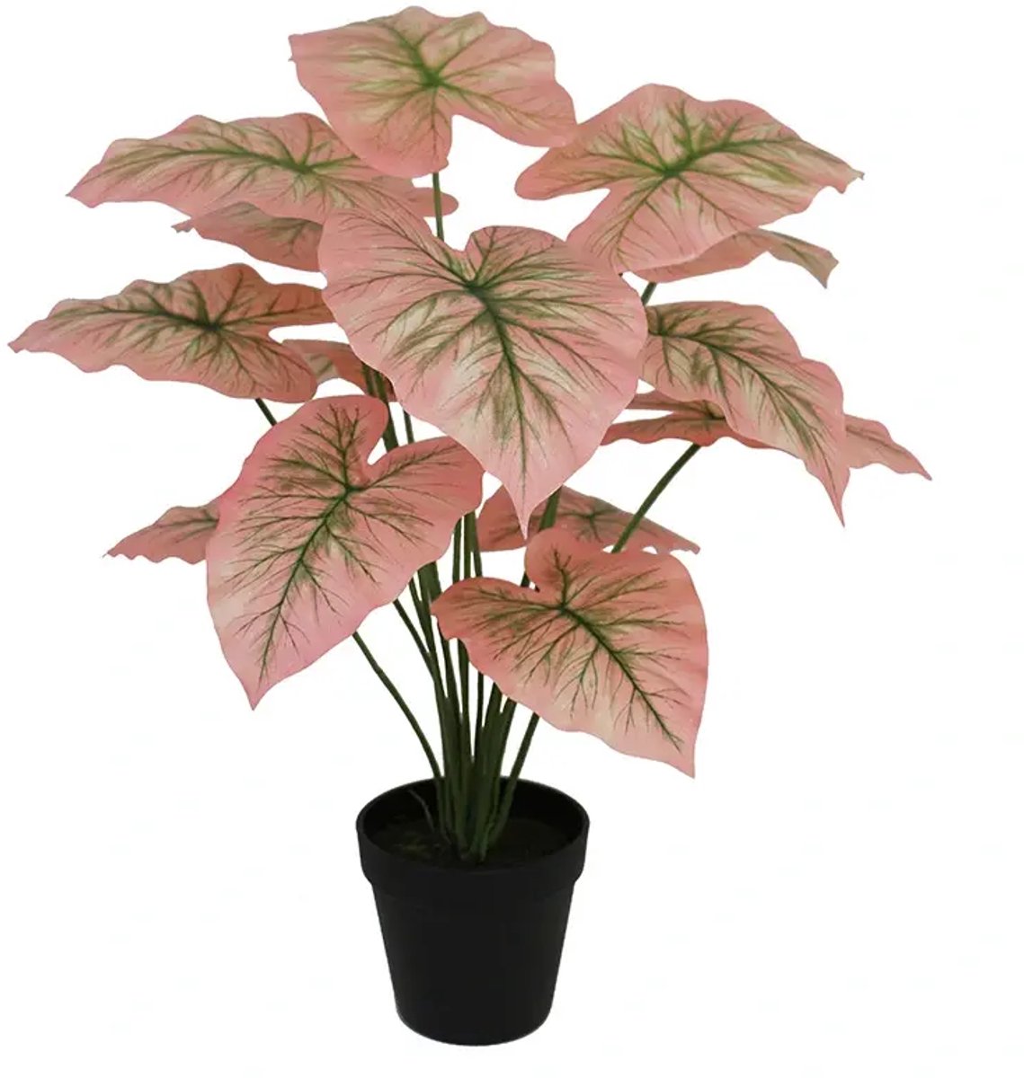 Kunstplant Caladium pink- 50cm