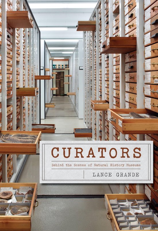 Curators - cover