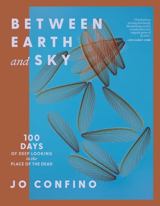 Between Earth and Sky - cover