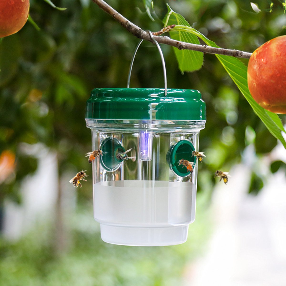 Fruitvliegjesval op zonne-energie - wespenval - Fruitvliegjes Vanger - insectenvanger - PP - Groen