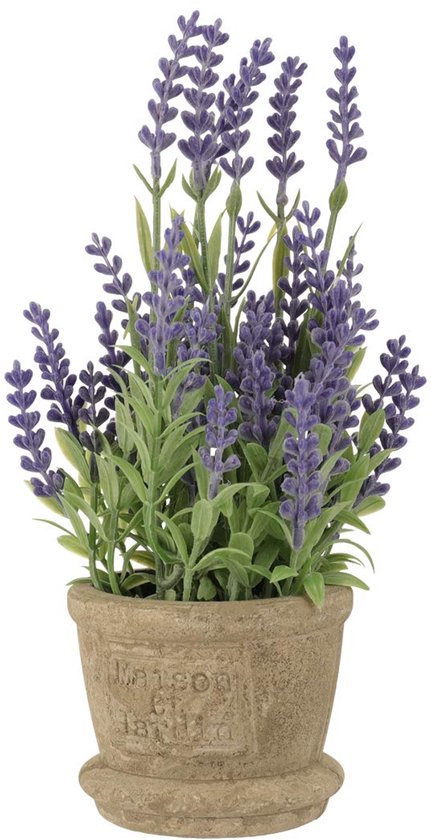 Unyqoos® Stijlvolle en Levensechte Kunstlavendel in Rustieke Pot voor Binnen en Buiten, paars, 22 cm
