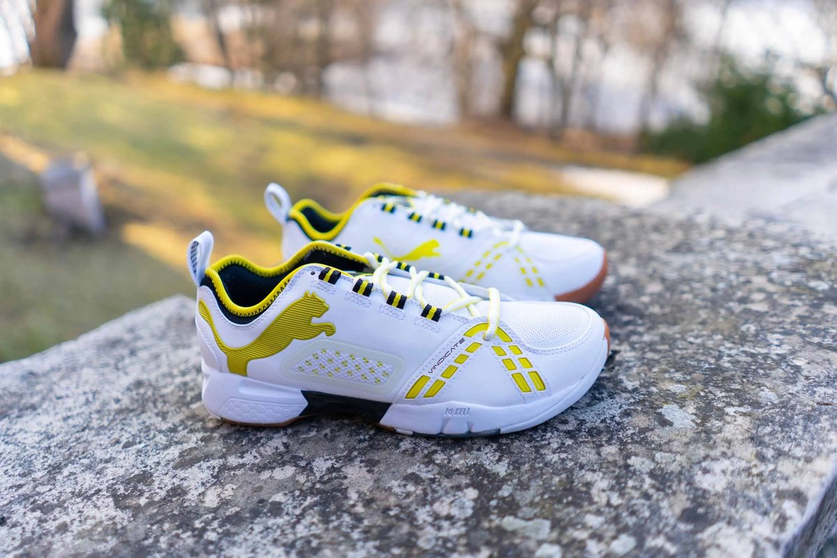 Indoorschoenen Puma Vindicate Profi Wit - 43