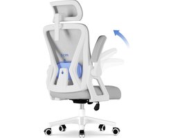 Hiaonyx bureaustoel-ergonomische bureaustoel-bureaustoelen voor volwassenenOpklapbare armleuningen-2D lendensteun-Maximale kanteling 135°-Grijs