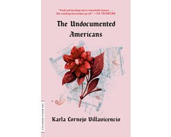 The Undocumented Americans