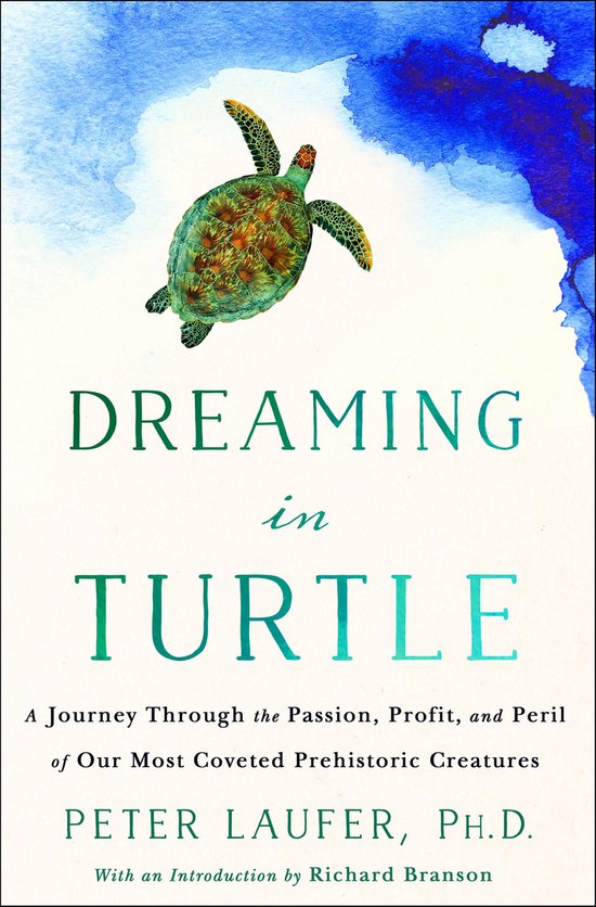 Dreaming in Turtle - cover