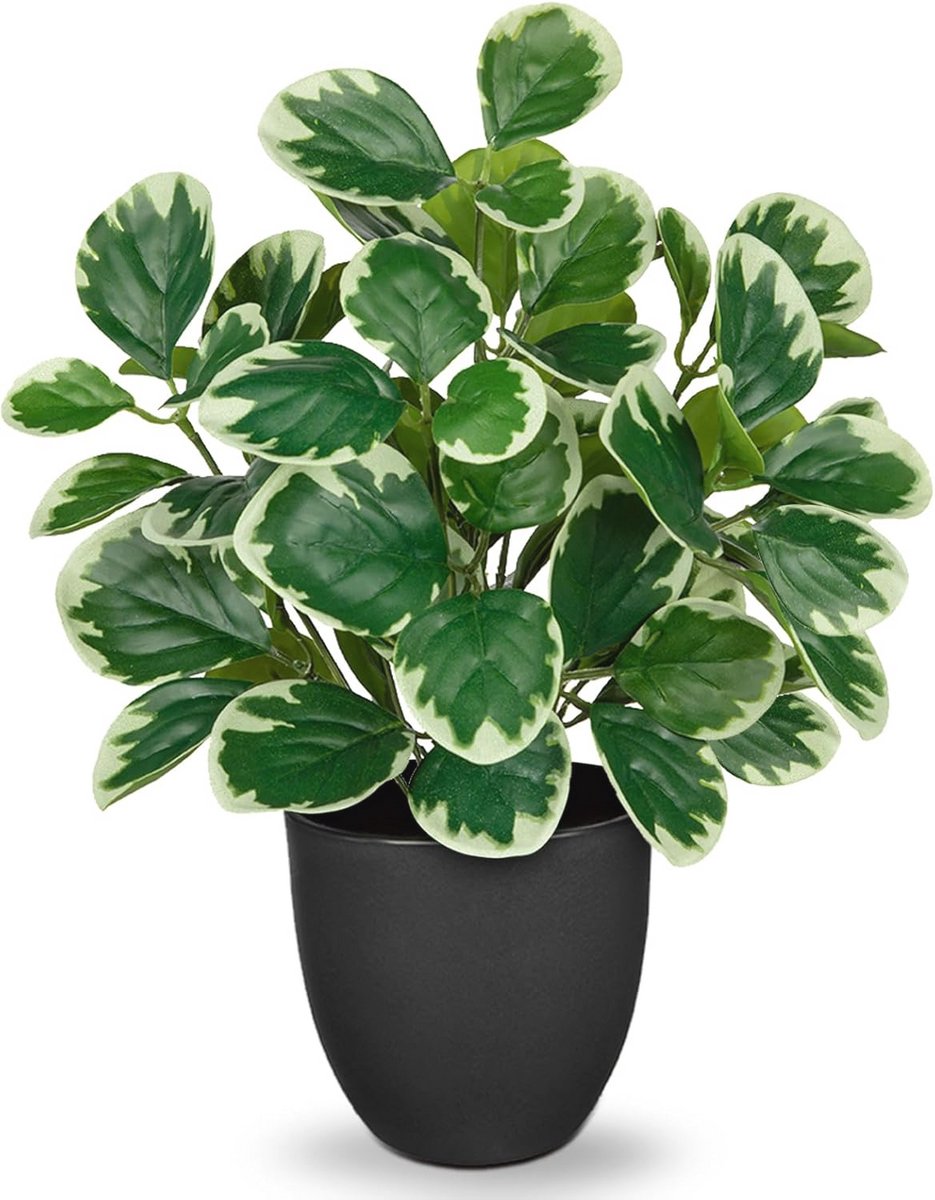 Kunstplanten in pot - 37 cm - Peperomia met muntbladeren - Desktop bonsai - Tafeldecoratie