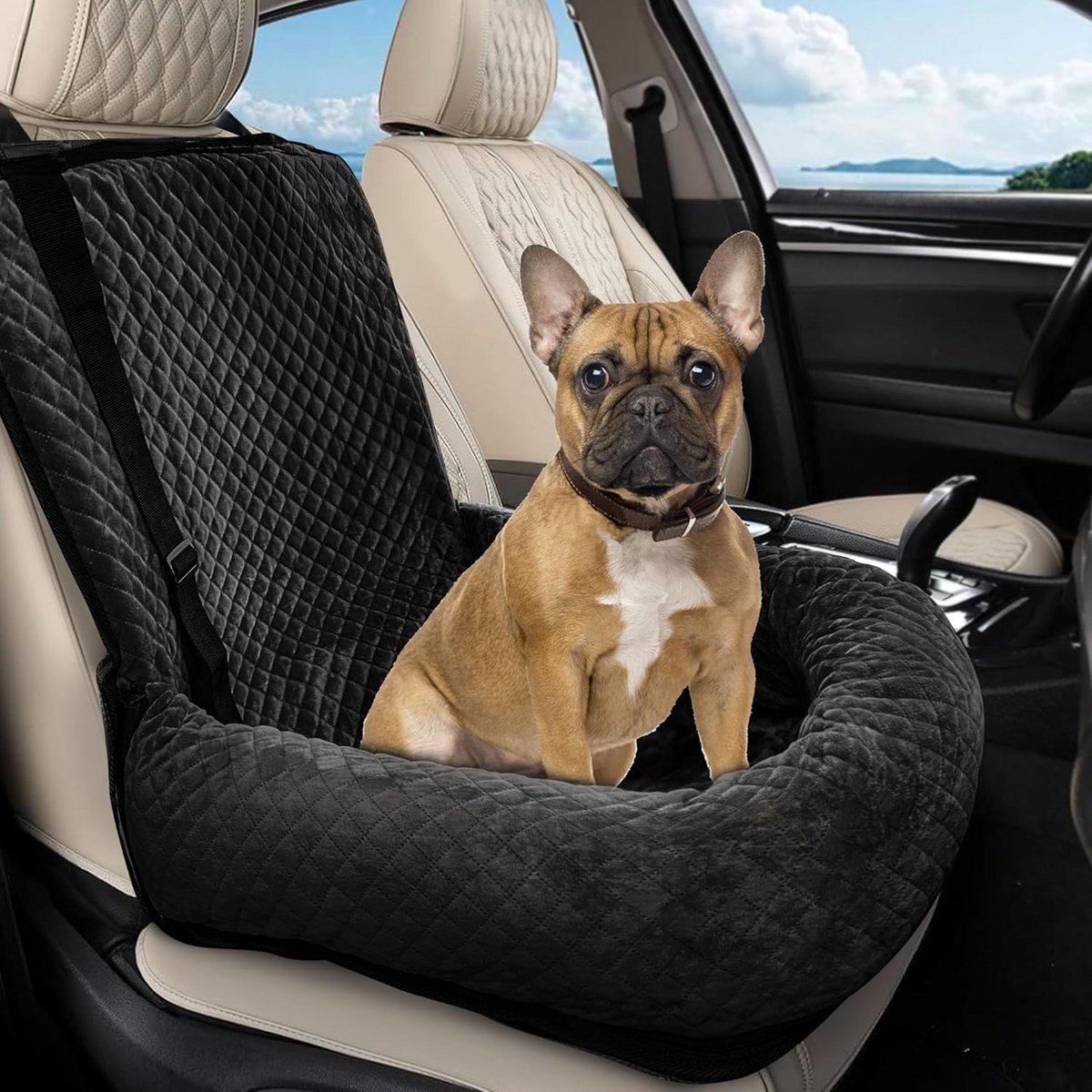 Hondenautostoel voor Kleine en Middelgrote Honden - Veilig en Zacht Huisdierenzitverhoger
