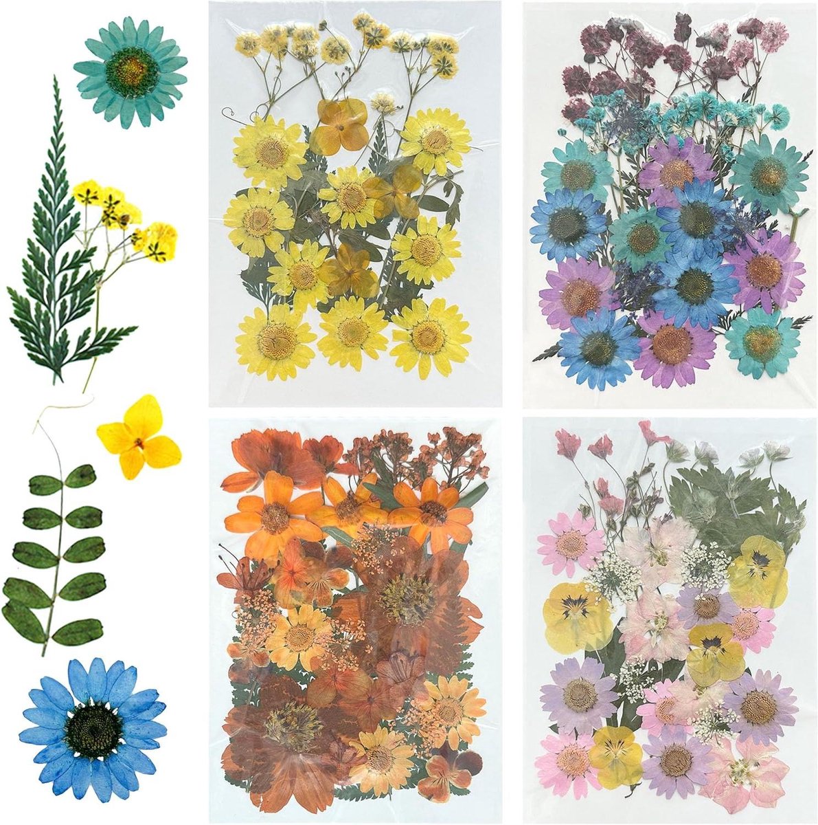 Cosensi - Gedroogde Bloemen voor Hars, Natuurlijke Geperste Bloemen - Scrapbooking, Kunsthandwerk, Epoxyharsji, 200 Stuks