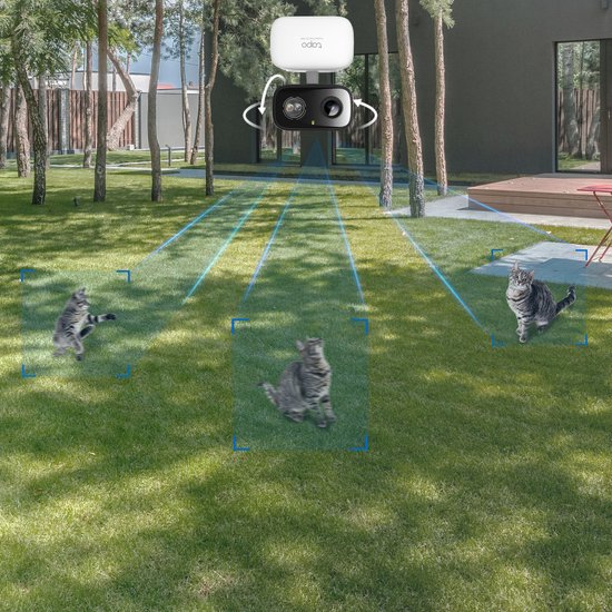 Tapo beveiligingscamera in tuin, met pijl die rotatie aangeeft. Drie katten worden gedetecteerd.