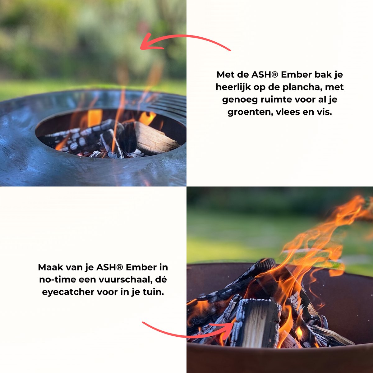 Plancha BBQ - ASH - Ember - Plancha barbecue met grillring - afbeelding 2