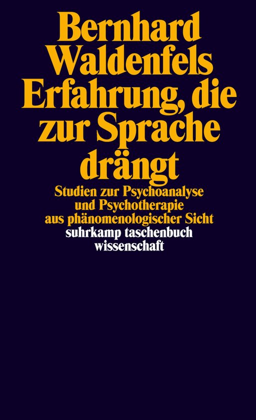 Erfahrung, die zur Sprache drängt - cover