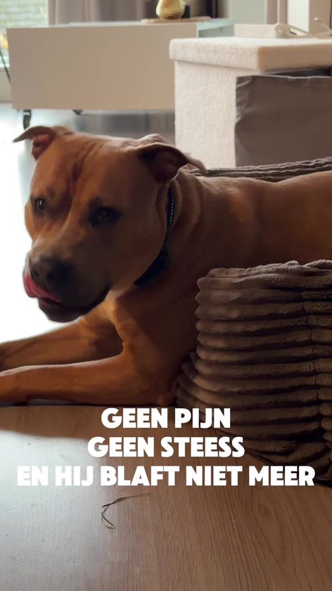RobustRise X3 Pro - Anti Blafband voor Honden - Trainingshalsband - Geluid & Vibratie - Waterdicht