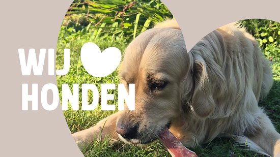 Dakramen op Maat - Premium Dakramen