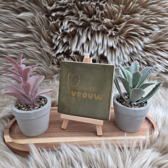 Carreau vert avec texte doré 'Powervrouw' sur un chevalet, flanqué de deux plantes succulentes.