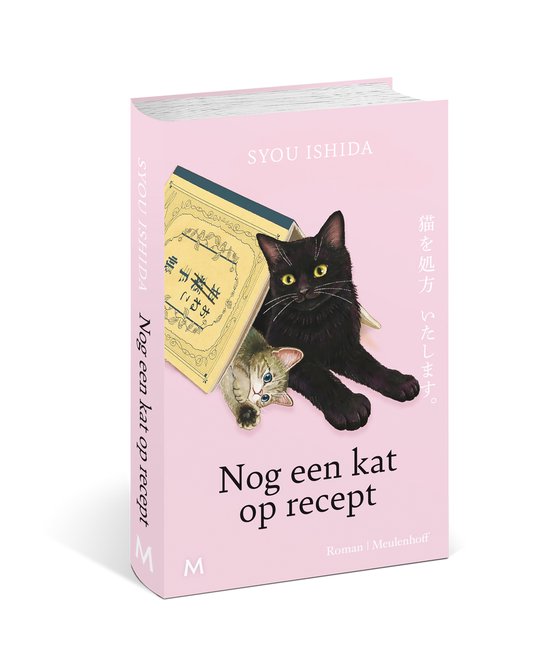 Nog een kat op recept